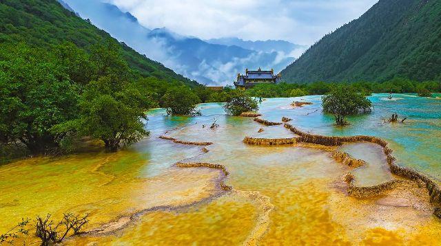 立法护发展 茶业提质效