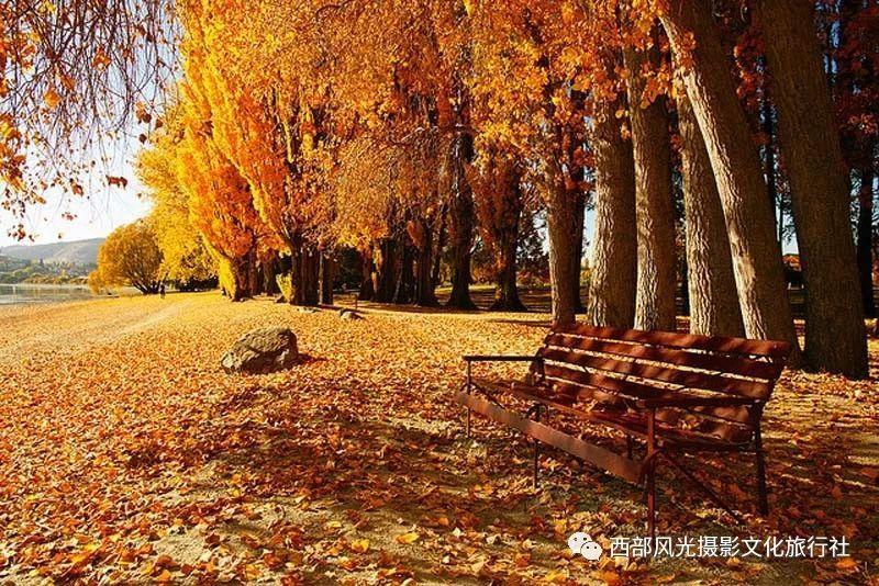 伊金霍洛旗1人获评“中国网事·感动内蒙古”2023十大年度网络人物