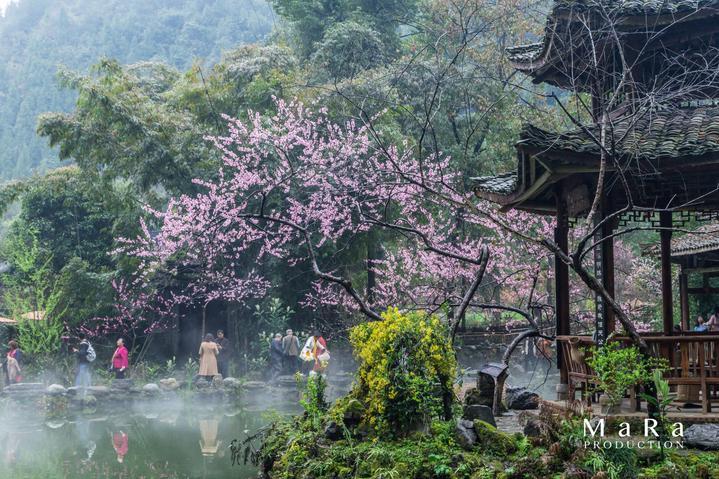 逃亡公子的氏族如何成功篡权