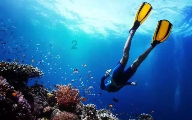 华泰证券:以红利为底仓 关注内资流入/AH溢价高位/景气回升的交集