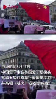 逃离棕榈树森林