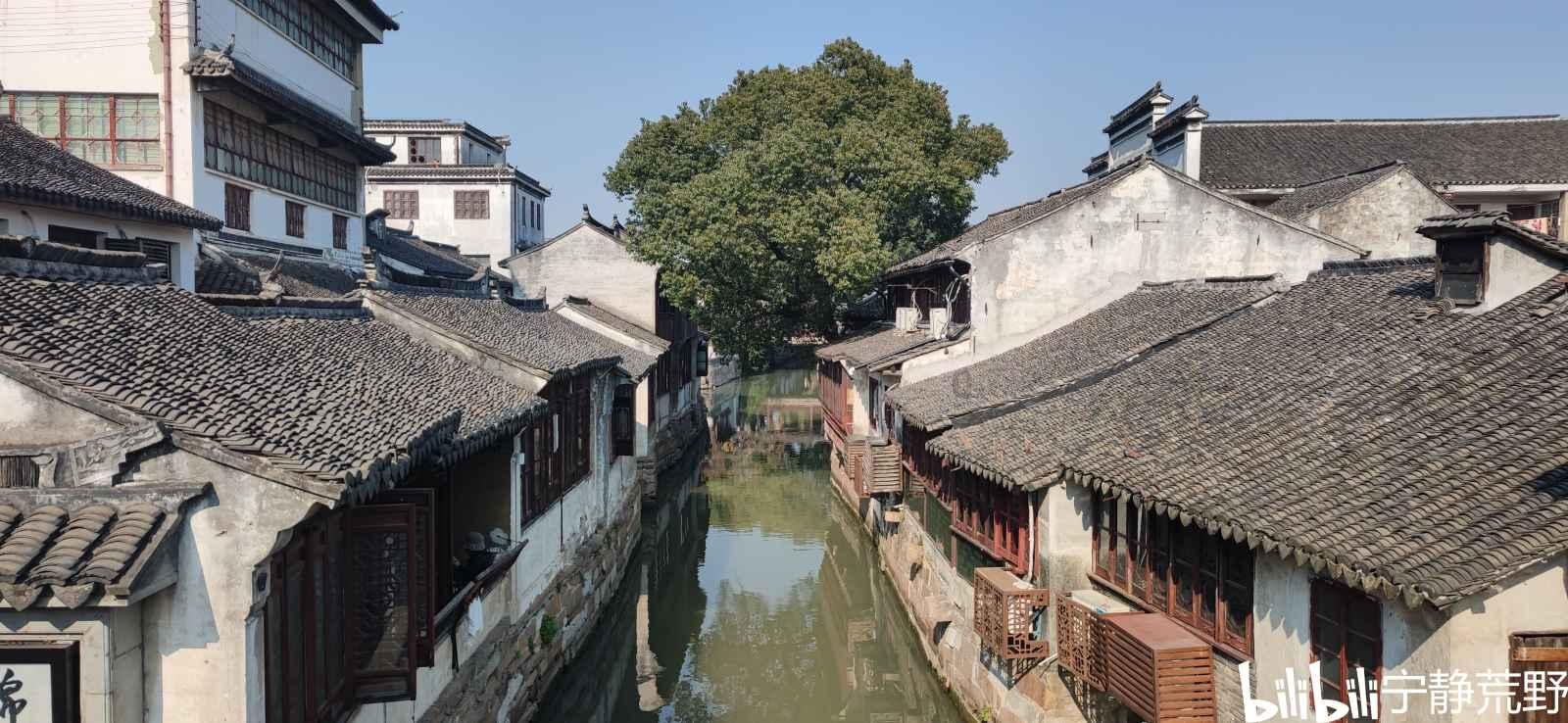 张桃芳:作战30天,消灭美军200名,用3秒时间击毙其王牌狙击手